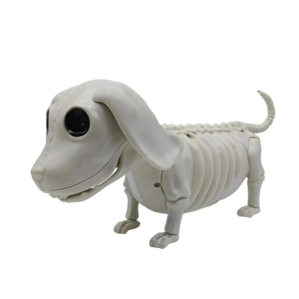 Spooky Animal Skeleton Decorations