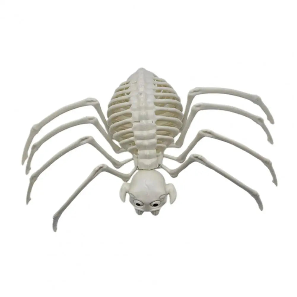 Spooky Animal Skeleton Decorations