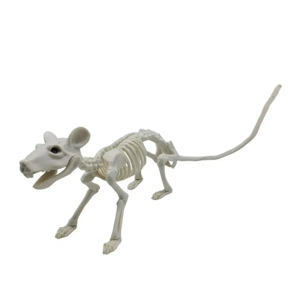 Spooky Animal Skeleton Decorations
